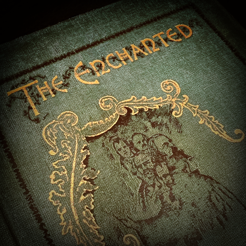 Doppelganger - The Enchanted by Prof BC