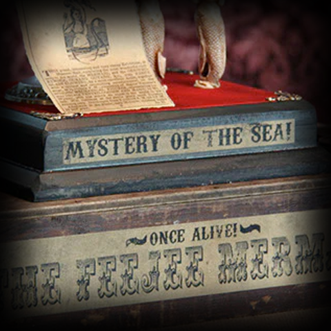 FeeJee Mermaid