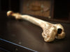 Ossuary by Prof BC