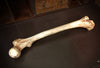 Ossuary by Prof BC