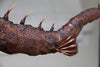 FeeJee Mermaid