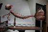 FeeJee Mermaid
